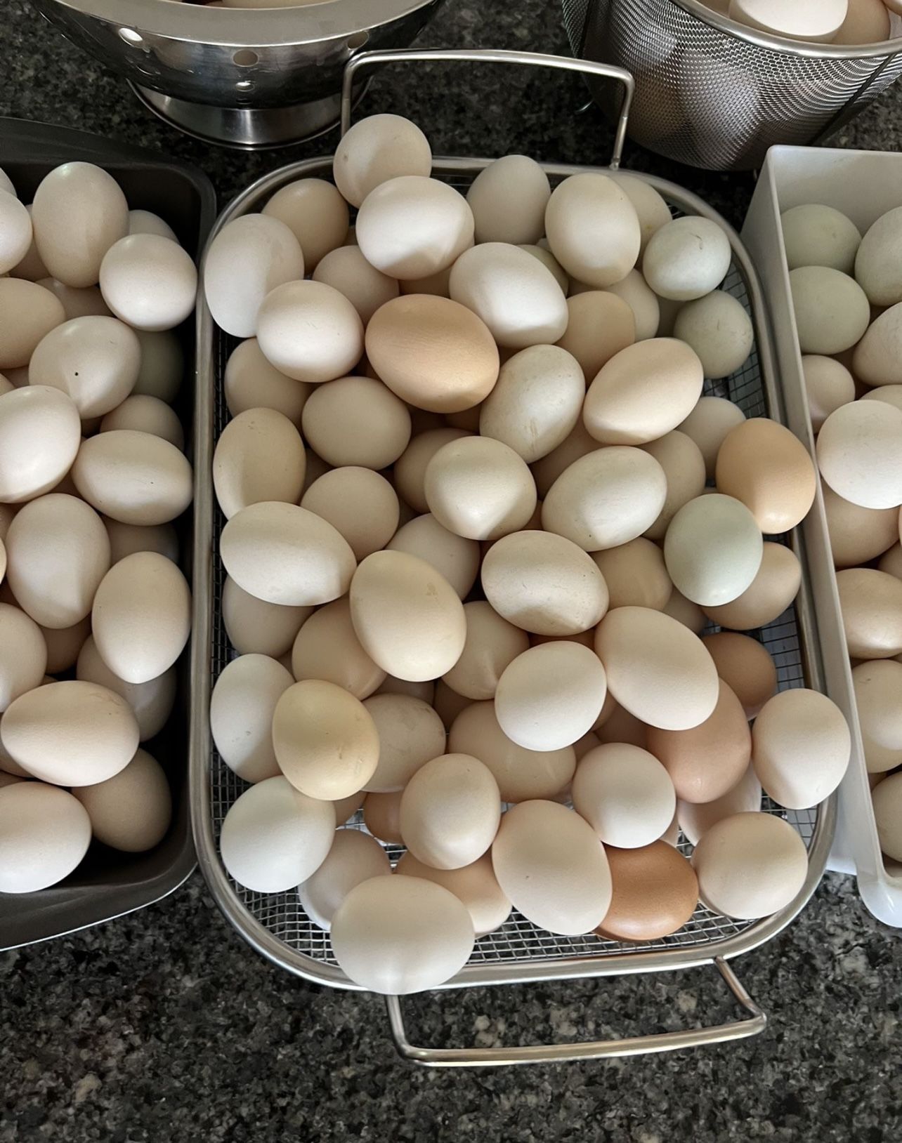 Organic Free Range Daily Laid Farm Eggs