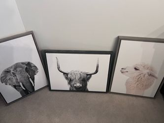 Set of Framed Canvases