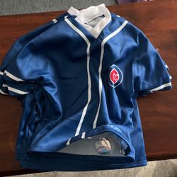 Cubs Bottle Jersey