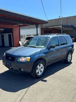 2005 Ford Escape