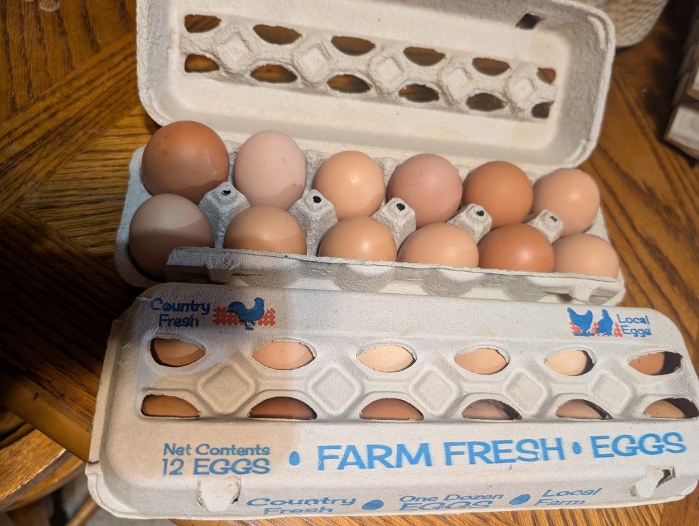 1 Dozen Free Range None Gmo Eggs