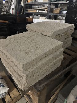 Coral Stone 24”x24” Stepping Stones 