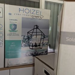 Jett 4-light Outdoor/Indoor Pendant