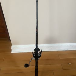 Penn Fierce Rod With 8000 Size Reel