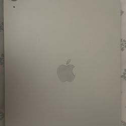 Apple iPad 10th Gen Wifi Only 256 Gb
