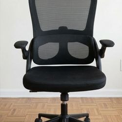Ergonomic Desk Chair