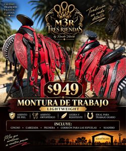 Saddles/Monturas Charras