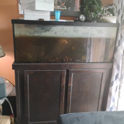 Fish Tank