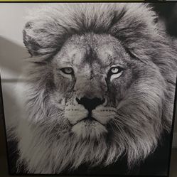 Lion Canvas 