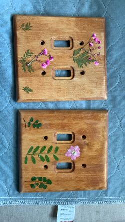 Light Switch Cover$10 X2