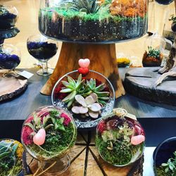 Come before gone!!!! Valentine's Day 100% Living Plant Terrariums All Price Ranges.... only mist with water once a month!!! Won't die like Flowers/ro
