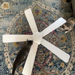 46” White Ceiling Fan 