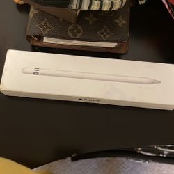 1st Generation Apple iPad pencil