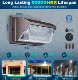 LED Wall Pack Light