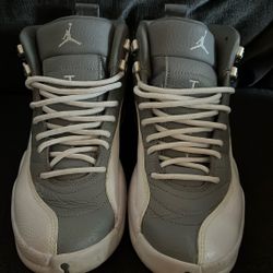 Jordan 12 Stealth 