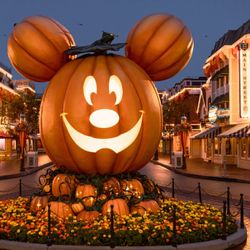 2 disneyland tickets