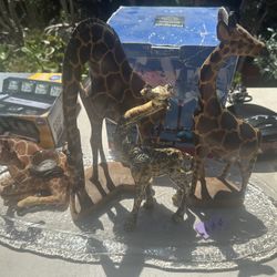 4 Giraffes Plus The Plate 