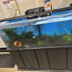 Aquarium For Sale Tank Is Empty Now 