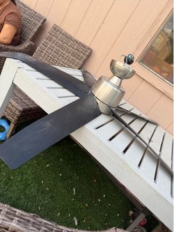 Fan