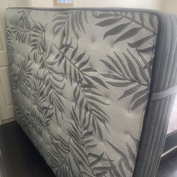 Queen Mattress Sealy Posturepedic Plus