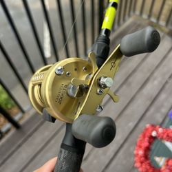 Calcutta 200GTB Bait-caster