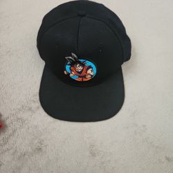 Dragon Ballz Hat