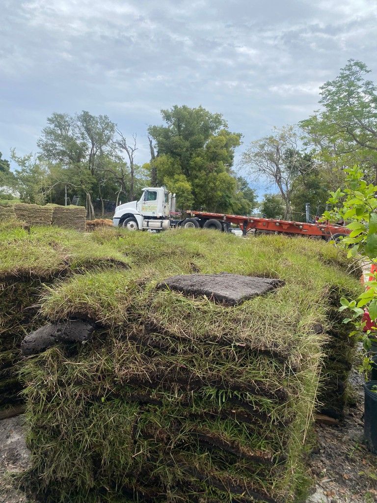 Bahia Grass!!