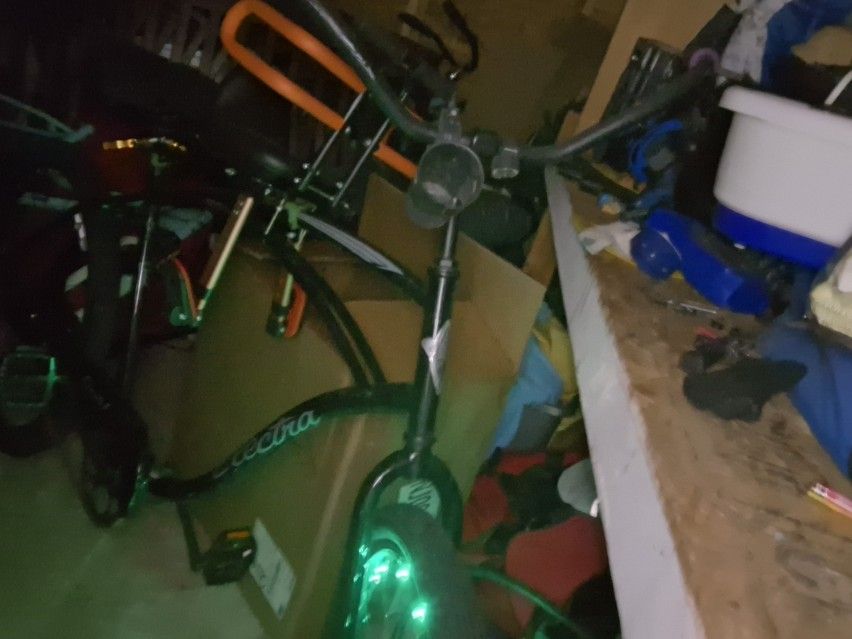 Electra Cruiser With Or Without Child Seat