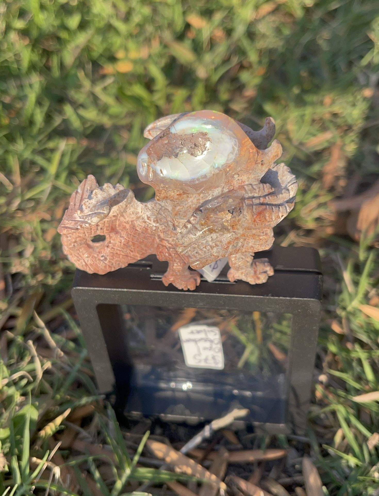 Opal Dragon
