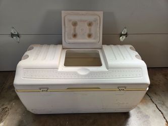 Igloo Cooler