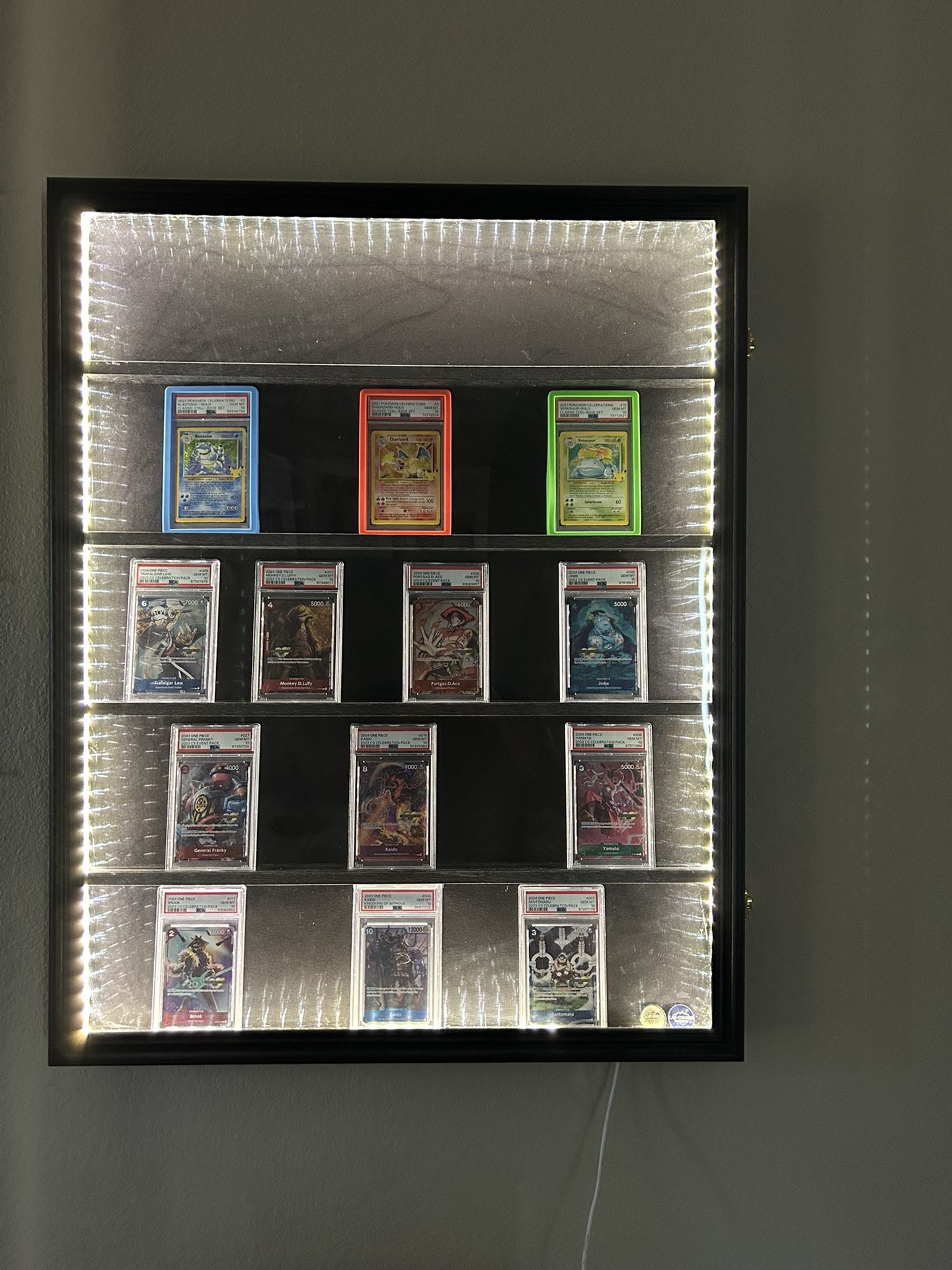 TCG Display Case LED