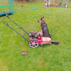 A R I E N S String Trimmer