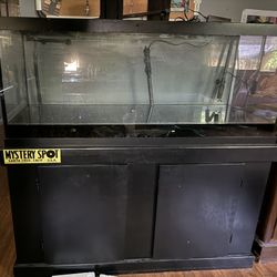 75 Gallon Fish Tank