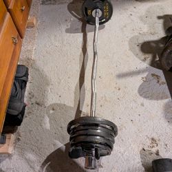 Olympic Weights (55 Pounds) on a Perfect Condition Olympic Curl Bar. Includes Spring Collars 