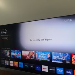 Vizio P-series P65-F1 65 Inch Screen