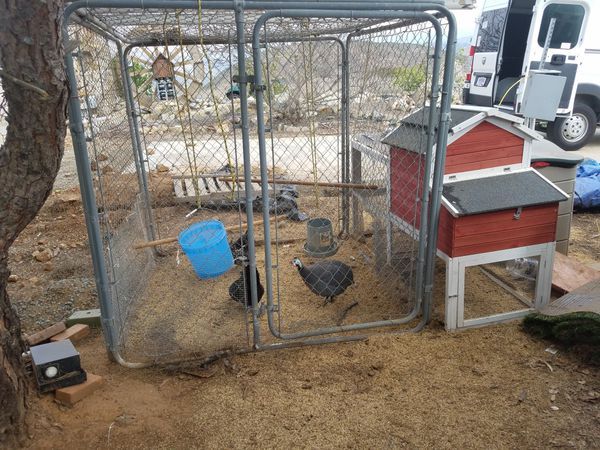 Chicken Coop Pen For Sale In Oceanside Ca Offerup
