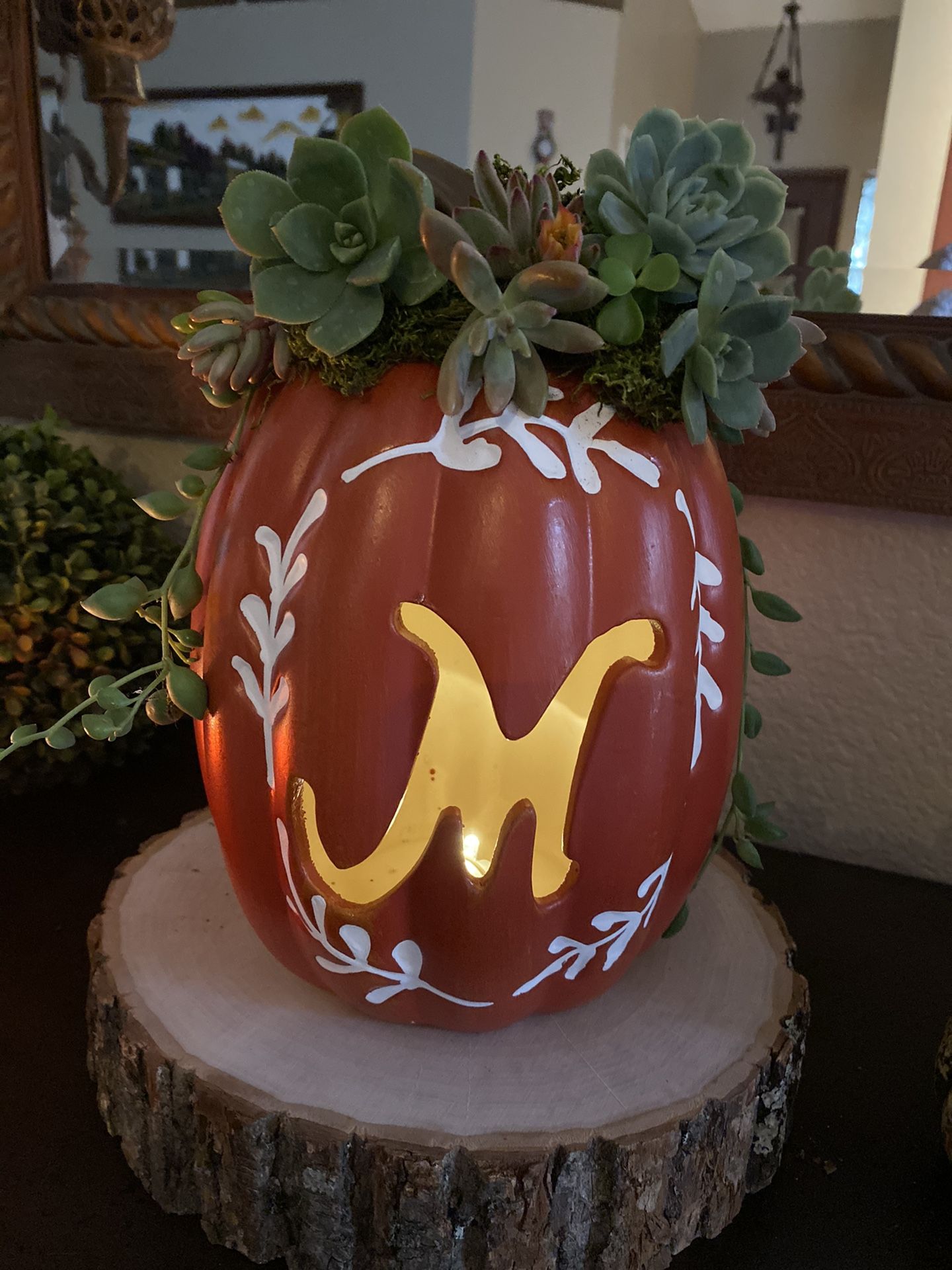 Decorations pumpkins and succulent