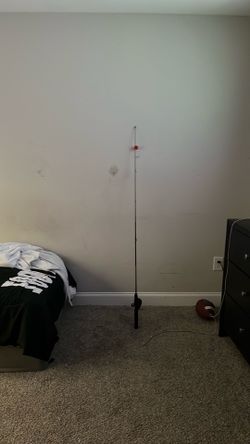 Fishing rod