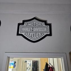 Harley Davidson Mirror.