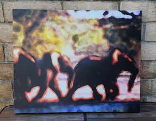 Elephant Canvas Wall Art