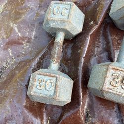 30 Lbs Dumbbell 