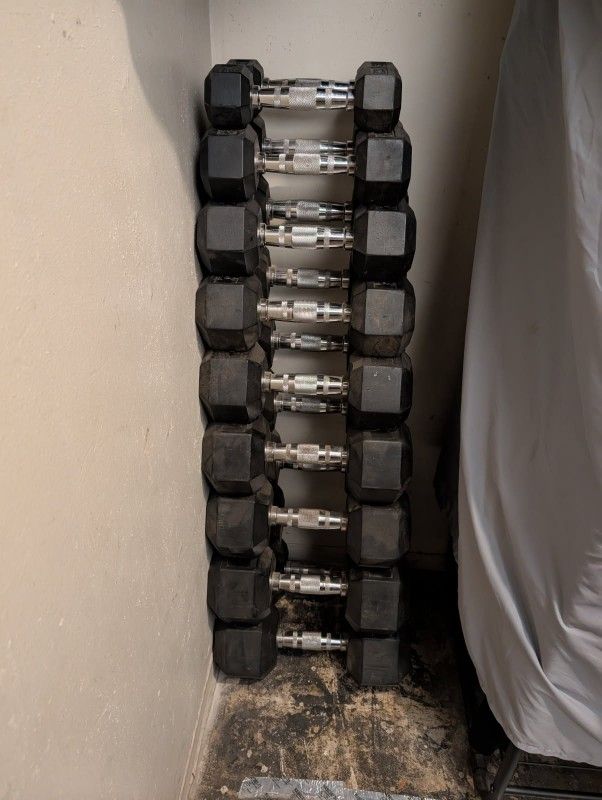 Paramount Dumbbell Weights & Bench