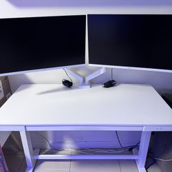 Office/Gaming Set Up 