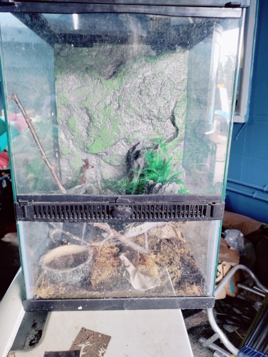 Reptile Terrarium