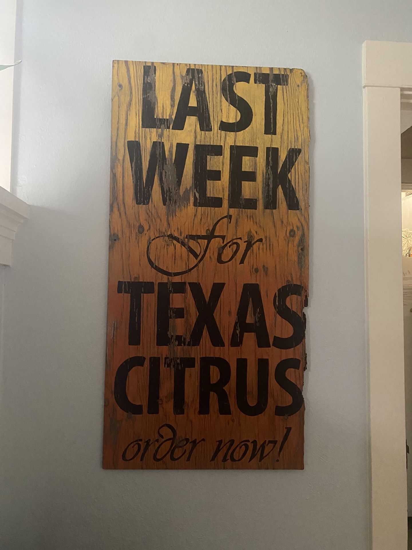 Large Vintage Texas Citrus Sign