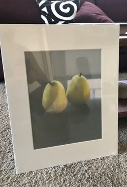 16x20 pre cut mat board for framing. Brand new