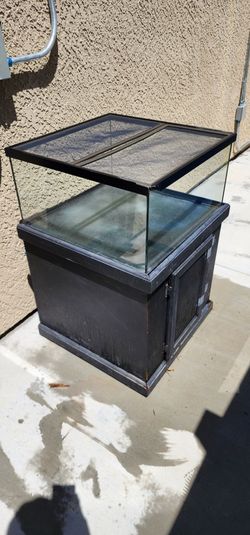 Reptile Terrarium