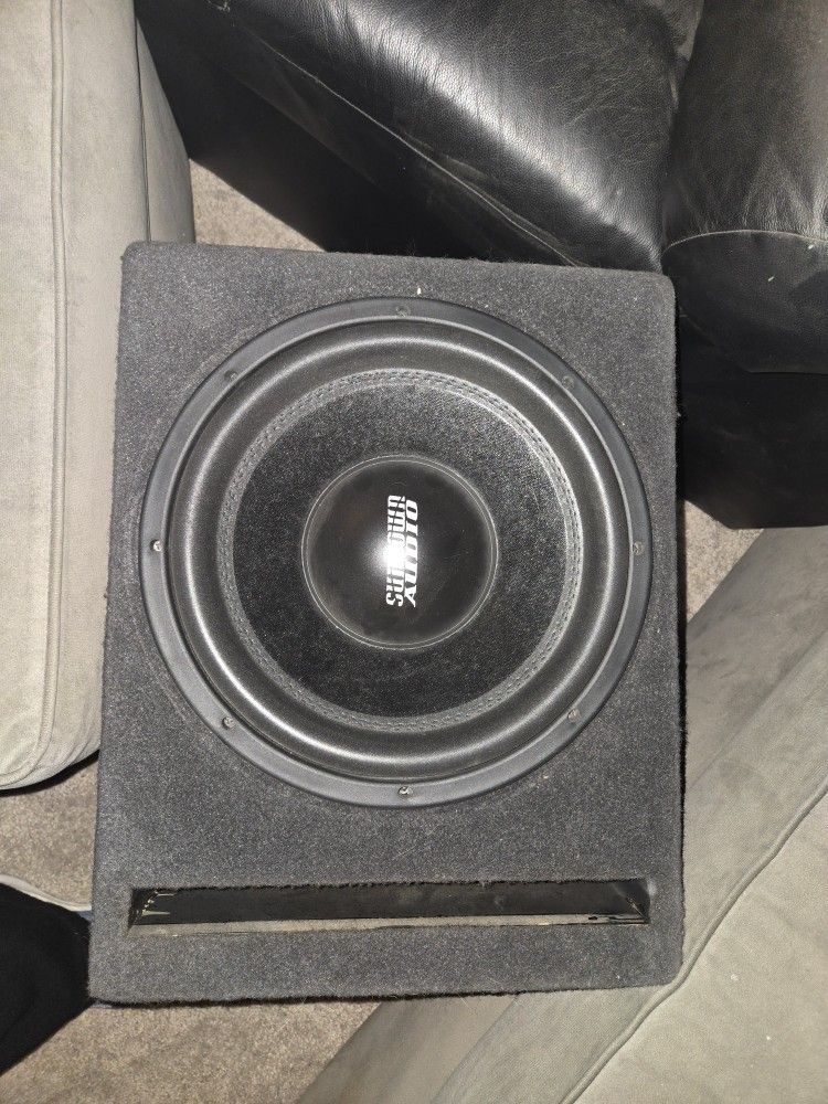 12" Sundown Audio Subwoofer