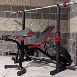 Professional Bench, Bench Press, Adjustable Bench, Weights, Olympic Bars, Dumbbells.