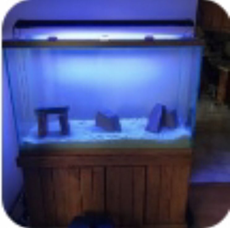 110 gallon fish tank